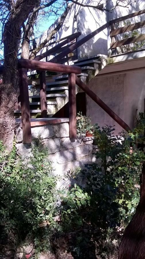 Agriturismo La Vigna Tempio Pausania Zewnętrze zdjęcie