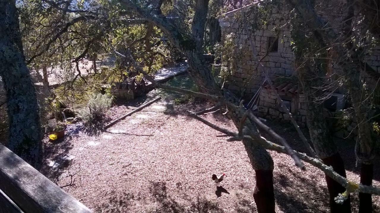 Agriturismo La Vigna Tempio Pausania Zewnętrze zdjęcie