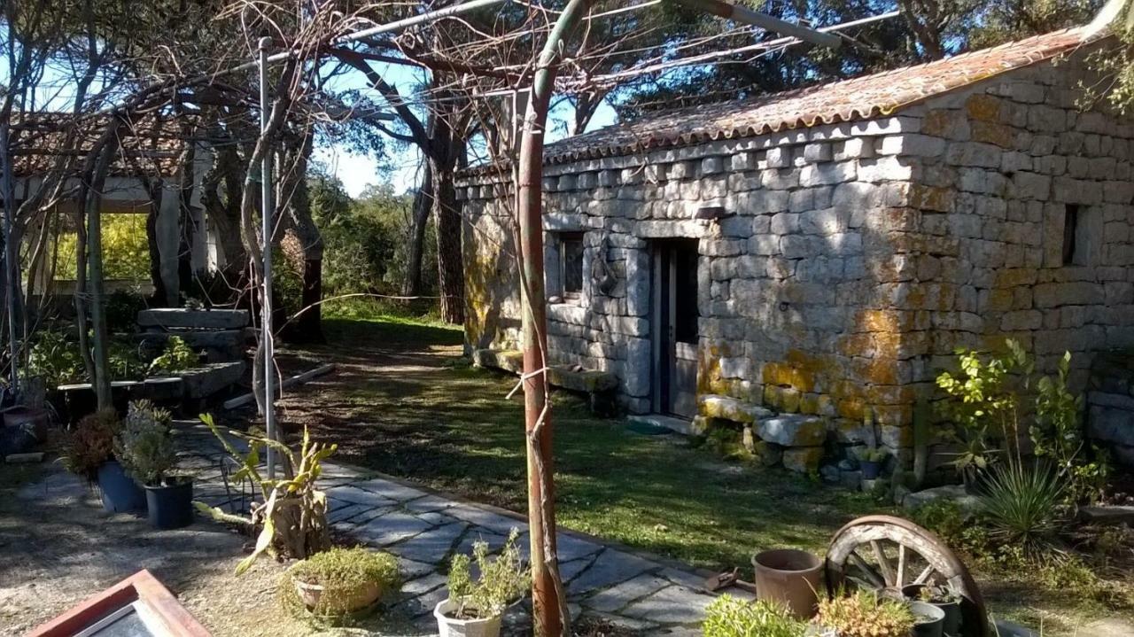 Agriturismo La Vigna Tempio Pausania Zewnętrze zdjęcie