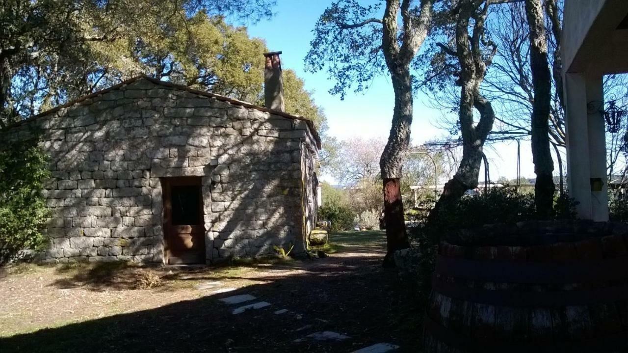 Agriturismo La Vigna Tempio Pausania Zewnętrze zdjęcie
