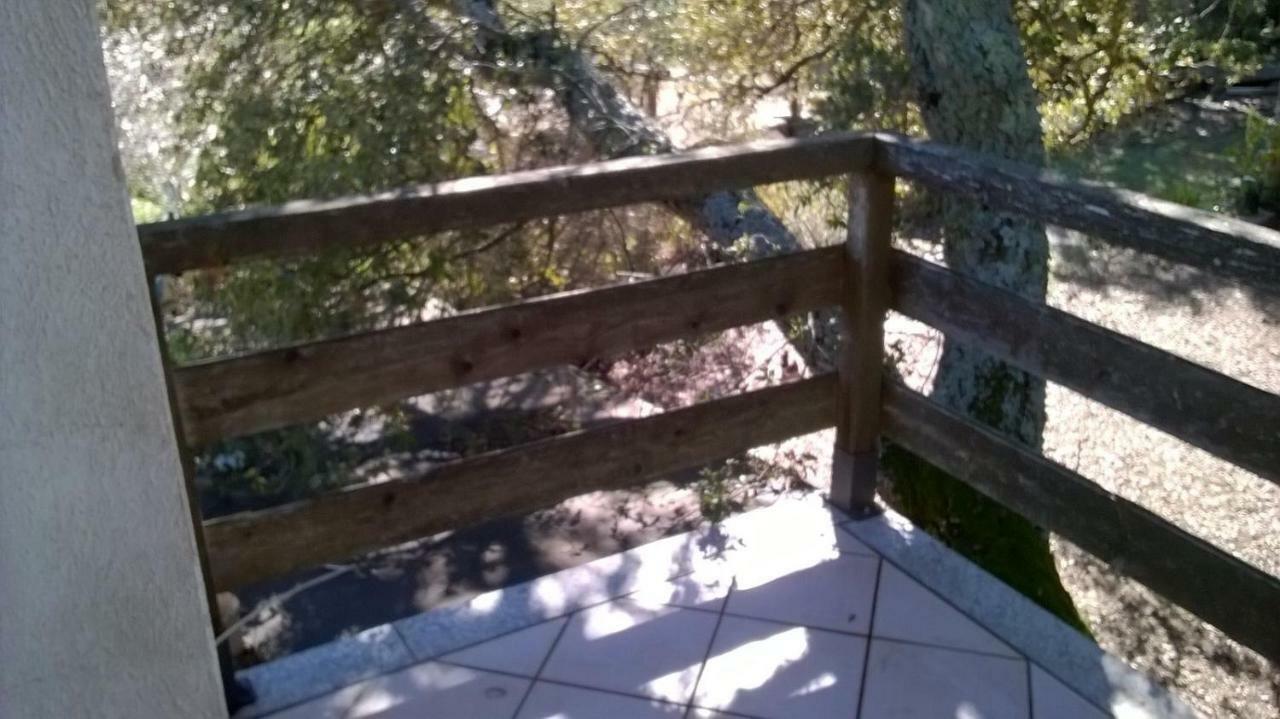Agriturismo La Vigna Tempio Pausania Zewnętrze zdjęcie