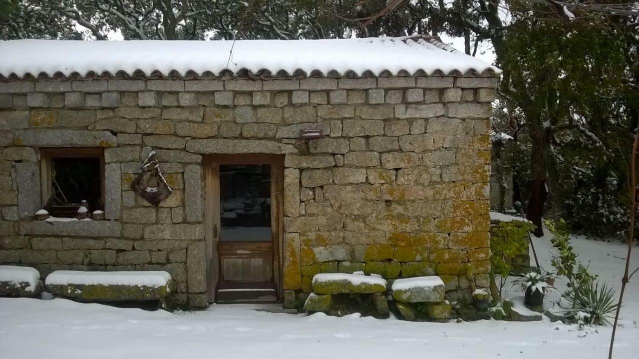 Agriturismo La Vigna Tempio Pausania Zewnętrze zdjęcie